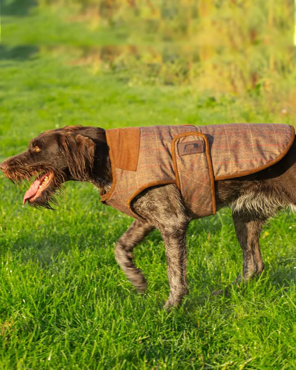 Baleno Bobby Printed Tweed Dog Coat